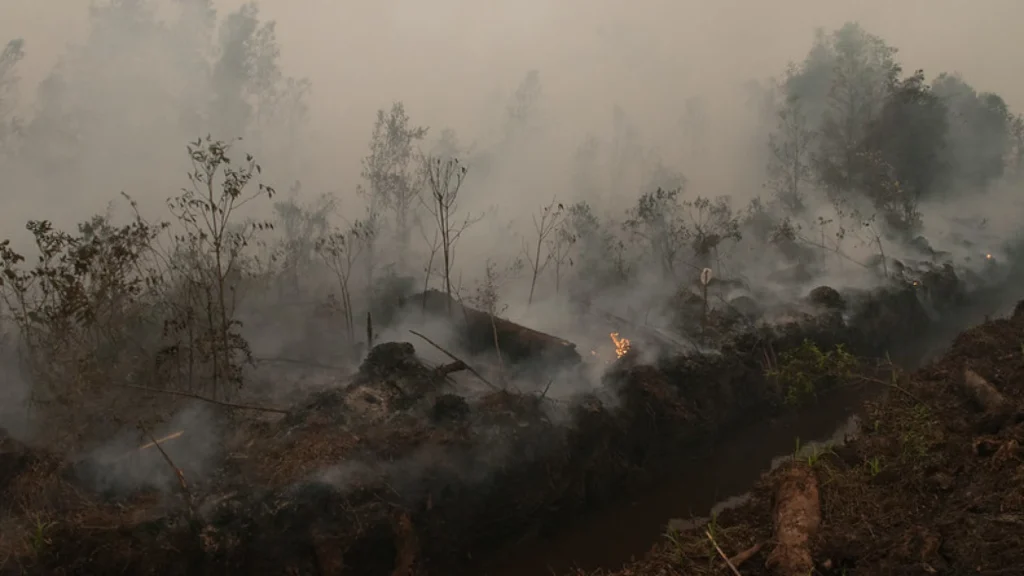 Ⓒ Hak cipta foto di atas dikembalikan sesungguhnya kepada pemilik foto