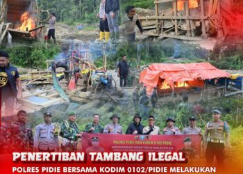 TNI-Polri Tertibkan Tambang Emas Ilegal di Geumpang Pidie