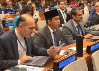 Indonesia Suarakan Inovasi Pembiayaan Konservasi di Markas Besar PBB