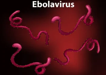 WHO Larang Penutupan Perbatasan Meski Ebola Jadi Darurat