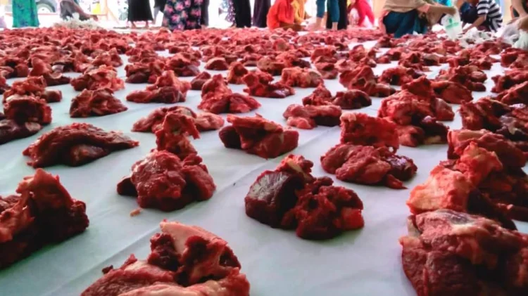 Ⓒ Hak cipta foto di atas dikembalikan sesungguhnya kepada pemilik foto Ⓒ Hak cipta foto di atas dikembalikan sesungguhnya kepada pemilik foto