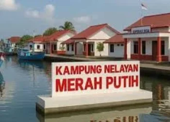 Infografis target pembangunan 1000 lokasi Kampung Nelayan Merah Putih (KNMP) di seluruh Indonesia pada tahun 2026 oleh KKP.