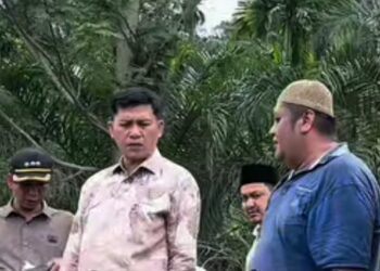 Bupati Aceh Selatan Tinjau Irigasi Mangkrak 10 Tahun