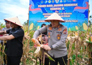Kapolres Pidie AKBP Jaka Mulyana saat menghadiri panen raya jagung bersama Forkopimda di Padang Tiji, Pidie.