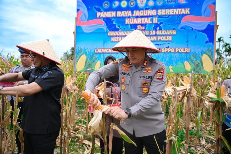 Ⓒ Hak cipta foto di atas dikembalikan sesungguhnya kepada pemilik foto