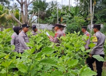 Sambut Hari Bhayangkara ke-80, Polres Lhokseumawe Gelar Penilaian Lomba Ketahanan Pangan