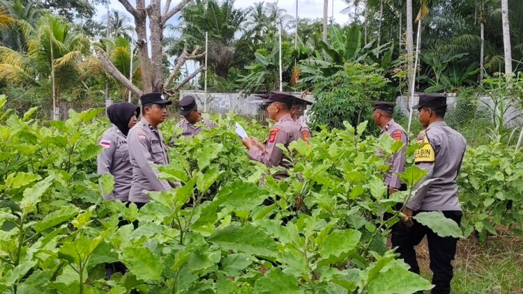 Ⓒ Hak cipta foto di atas dikembalikan sesungguhnya kepada pemilik foto Ⓒ Hak cipta foto di atas dikembalikan sesungguhnya kepada pemilik foto