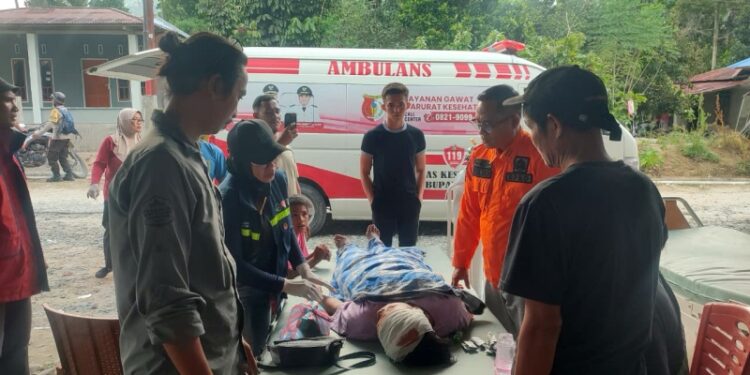 Ⓒ Hak cipta foto di atas dikembalikan sesungguhnya kepada pemilik foto Ⓒ Hak cipta foto di atas dikembalikan sesungguhnya kepada pemilik foto