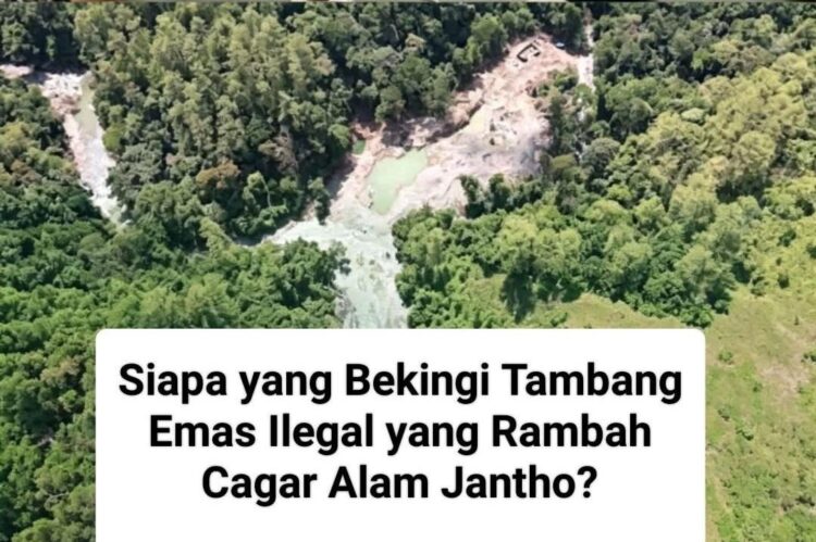 Ⓒ Hak cipta foto di atas dikembalikan sesungguhnya kepada pemilik foto