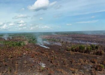 Karhutla di Aceh Barat Capai 280 Hektare, Berpotensi Meluas