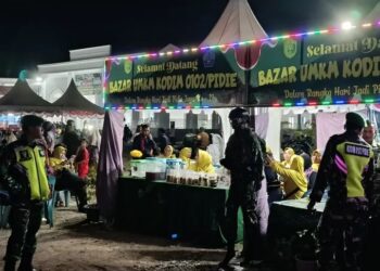 Dandim 0102/Pidie Dukung Penuh Hari Jadi Pidie Jaya ke-19