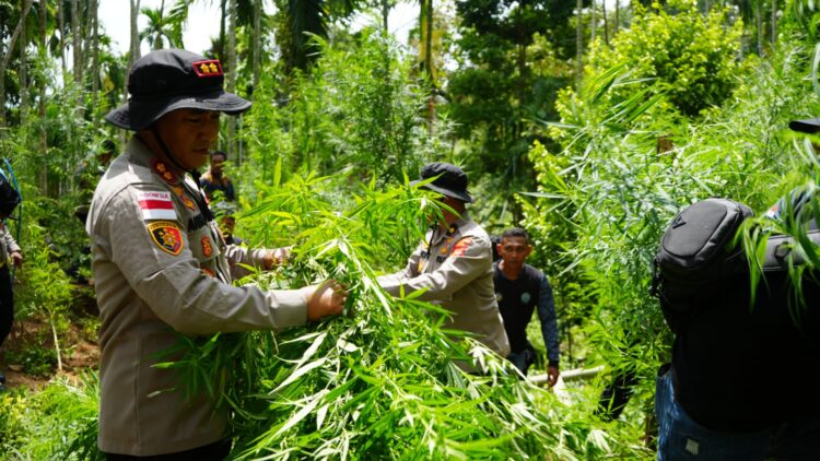Ⓒ Hak cipta foto di atas dikembalikan sesungguhnya kepada pemilik foto Ⓒ Hak cipta foto di atas dikembalikan sesungguhnya kepada pemilik foto