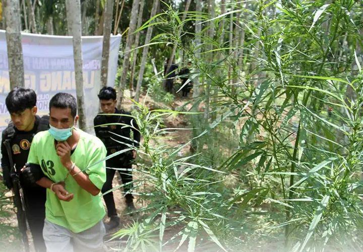 Ⓒ Hak cipta foto di atas dikembalikan sesungguhnya kepada pemilik foto Ⓒ Hak cipta foto di atas dikembalikan sesungguhnya kepada pemilik foto