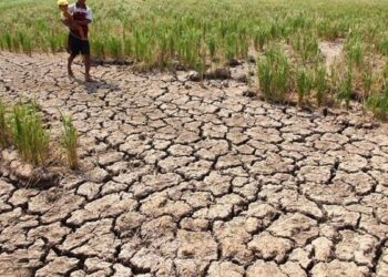 DPR Desak Kementan Perkuat Mitigasi El Nino untuk Pangan