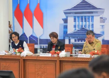 DPR dan DPD Matangkan RUU Daerah Kepulauan di Maluku