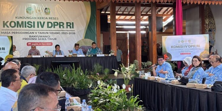 Ⓒ Hak cipta foto di atas dikembalikan sesungguhnya kepada pemilik foto Ⓒ Hak cipta foto di atas dikembalikan sesungguhnya kepada pemilik foto