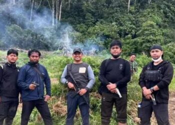 Denintel Kodam IM Musnahkan 50 Hektare Ladang Ganja