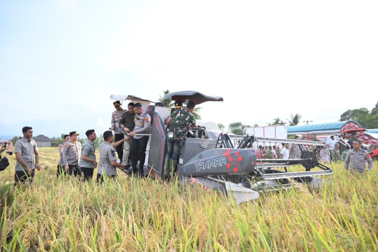 Ⓒ Hak cipta foto di atas dikembalikan sesungguhnya kepada pemilik foto Ⓒ Hak cipta foto di atas dikembalikan sesungguhnya kepada pemilik foto