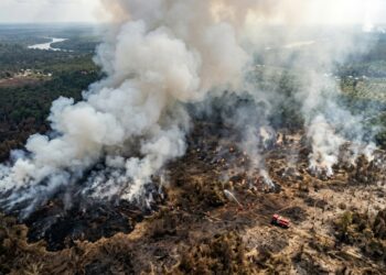 Karhutla Kalimantan: Alarm Kerusakan Tata Kelola Lingkungan