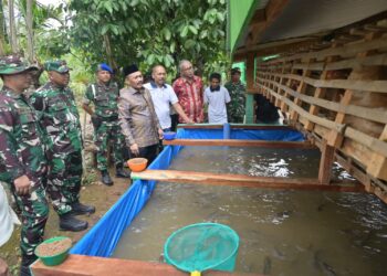 Danrem 011/LW Tinjau Fasilitas Ketahanan Pangan TMMD Pidie