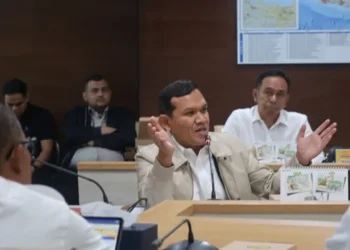 Wagub Aceh Usul Perbaikan Infrastruktur Gayo Lues ke Kemen PU