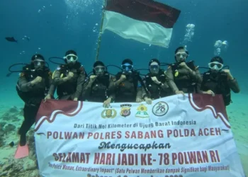Ⓒ Hak cipta foto di atas dikembalikan sesungguhnya kepada pemilik foto Ⓒ Hak cipta foto di atas dikembalikan sesungguhnya kepada pemilik foto