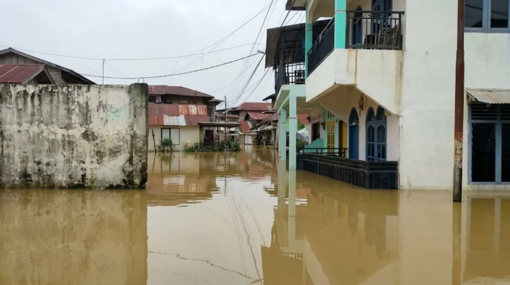Ⓒ Hak cipta foto di atas dikembalikan sesungguhnya kepada pemilik foto
