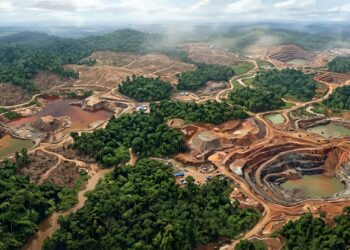 Krisis Ekologis Kalimantan: Dari Kejahatan Ekosida Menuju Ujian Tanggung Jawab Negara di Arena Global