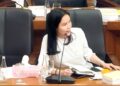 DPR Desak PLN Mitigasi Krisis Listrik Akibat Cuaca