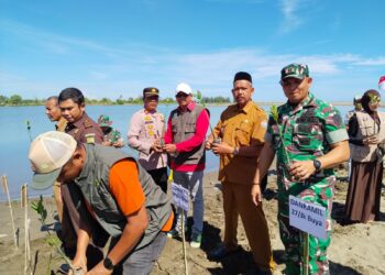 Mangrove Pidie Jaya: Benteng Hijau Hadapi Krisis Iklim