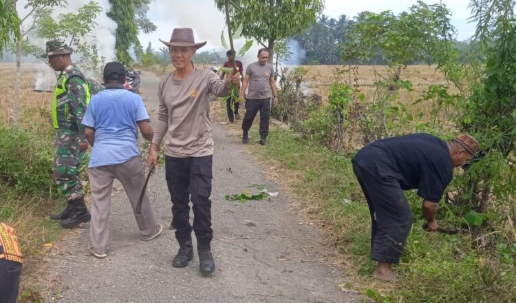 Ⓒ Hak cipta foto di atas dikembalikan sesungguhnya kepada pemilik foto Ⓒ Hak cipta foto di atas dikembalikan sesungguhnya kepada pemilik foto