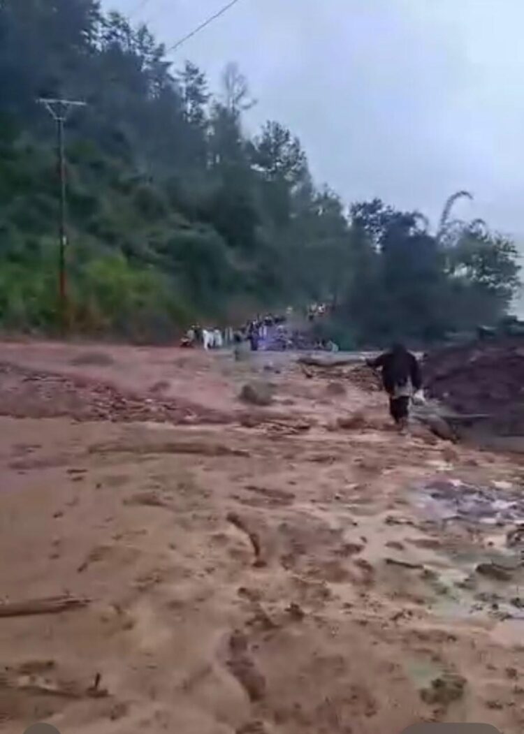 Ⓒ Hak cipta foto di atas dikembalikan sesungguhnya kepada pemilik foto Ⓒ Hak cipta foto di atas dikembalikan sesungguhnya kepada pemilik foto