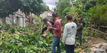 Ⓒ Hak cipta foto di atas dikembalikan sesungguhnya kepada pemilik foto