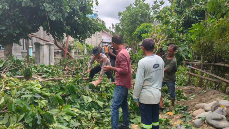 Ⓒ Hak cipta foto di atas dikembalikan sesungguhnya kepada pemilik foto