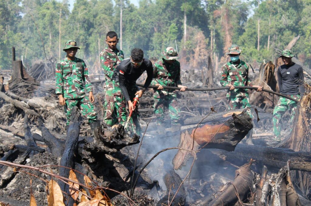 Ⓒ Hak cipta foto di atas dikembalikan sesungguhnya kepada pemilik foto