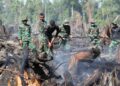 32 Perusahaan Terkait Karhutla Cuma Disanksi, Komisi II DPR: Jangan Sampai Negara Takut Korporasi