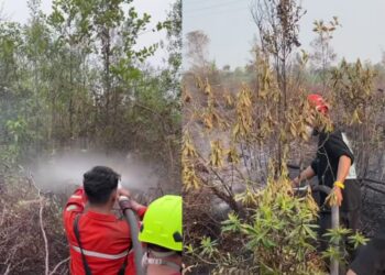 Ⓒ Hak cipta foto di atas dikembalikan sesungguhnya kepada pemilik foto Ⓒ Hak cipta foto di atas dikembalikan sesungguhnya kepada pemilik foto