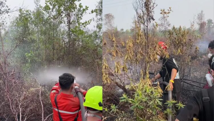 Ⓒ Hak cipta foto di atas dikembalikan sesungguhnya kepada pemilik foto Ⓒ Hak cipta foto di atas dikembalikan sesungguhnya kepada pemilik foto