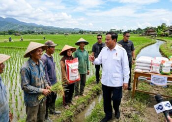 2 Tahun Prabowo: Harga Pupuk Bersubsidi Turun 20%