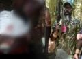 Baku Tembak Pecah di Belantara Aifat Selatan, Pasukan Gabungan TNI Tindak Kelompok Separatis Maybrat