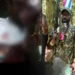Ⓒ Hak cipta foto di atas dikembalikan sesungguhnya kepada pemilik foto