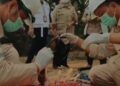 Kepungan Asap Karhutla Picu 277 Ribu Kasus ISPA, Kemenkes Terjunkan 2.106 Nakes ke 63 Daerah Terdampak