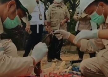 Ⓒ Hak cipta foto di atas dikembalikan sesungguhnya kepada pemilik foto