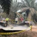 Ⓒ Hak cipta foto di atas dikembalikan sesungguhnya kepada pemilik foto