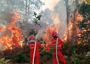 Ⓒ Hak cipta foto di atas dikembalikan sesungguhnya kepada pemilik foto