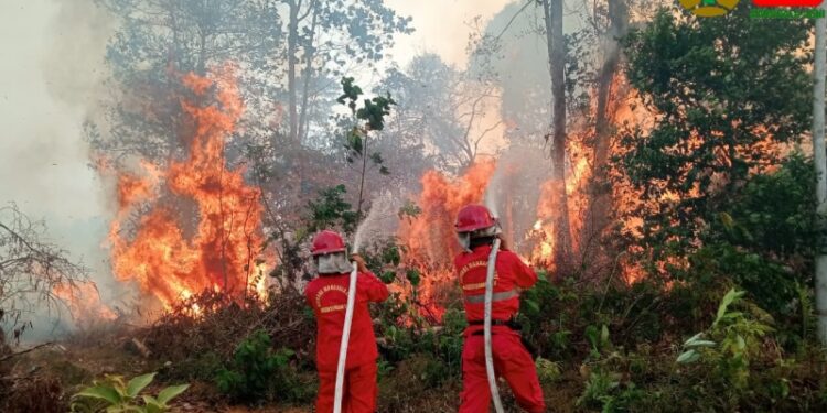 Ⓒ Hak cipta foto di atas dikembalikan sesungguhnya kepada pemilik foto Ⓒ Hak cipta foto di atas dikembalikan sesungguhnya kepada pemilik foto