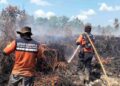 Penegakan hukum dan kewajiban restorasi lingkungan bagi pelaku karhutla.