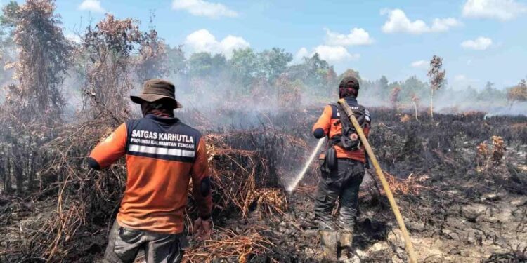 Ⓒ Hak cipta foto di atas dikembalikan sesungguhnya kepada pemilik foto Ⓒ Hak cipta foto di atas dikembalikan sesungguhnya kepada pemilik foto
