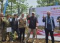 Bambu dan Jelutung Jadi Solusi Restorasi Gambut di OKI