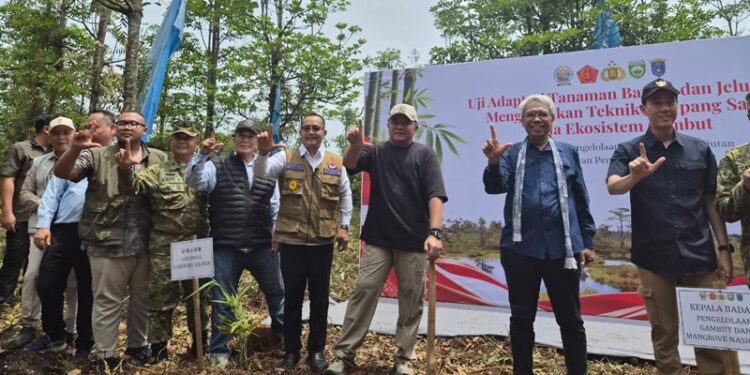 Ⓒ Hak cipta foto di atas dikembalikan sesungguhnya kepada pemilik foto Ⓒ Hak cipta foto di atas dikembalikan sesungguhnya kepada pemilik foto
